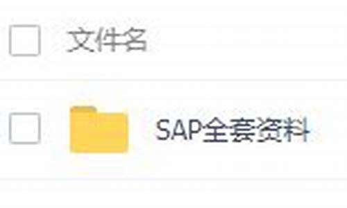 sap 全套 源码